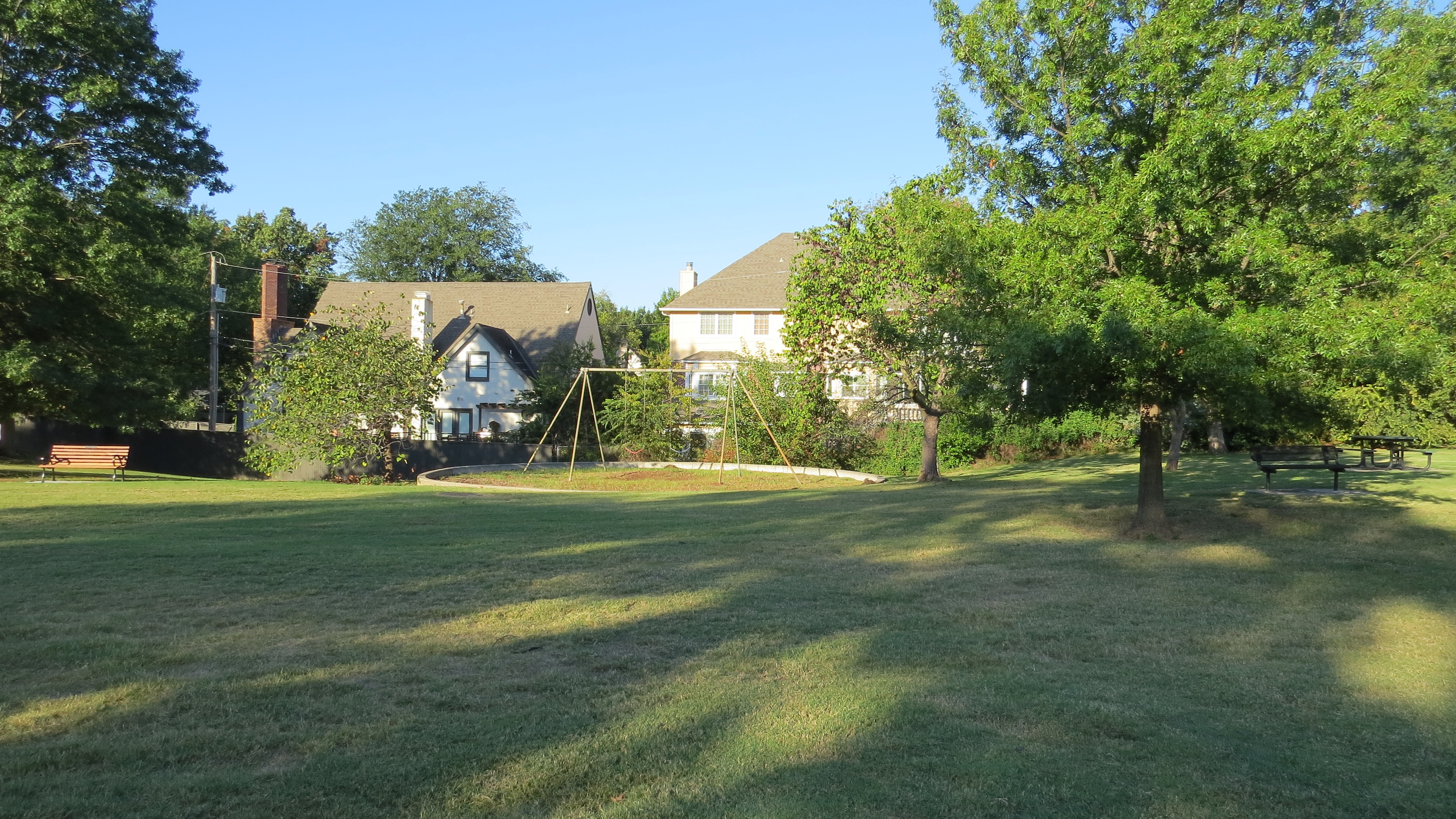 Image from Swan Lake taken on Thursday 16th of October 2025